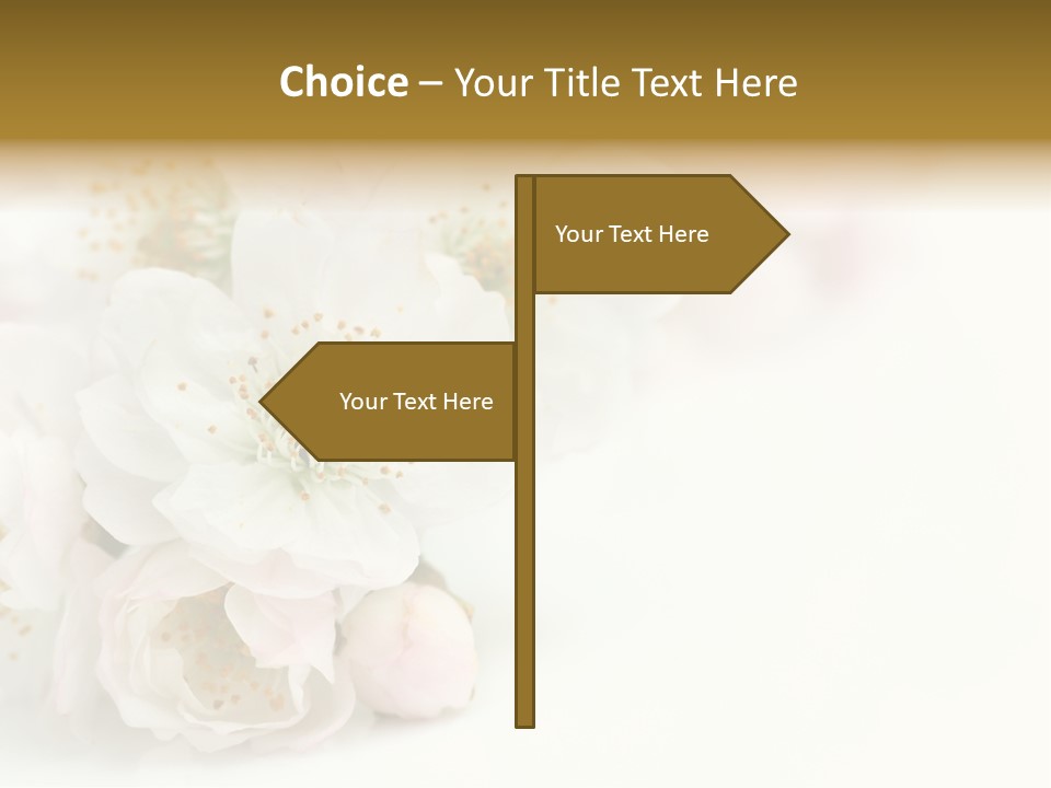 Beautiful White Background Summer PowerPoint Template