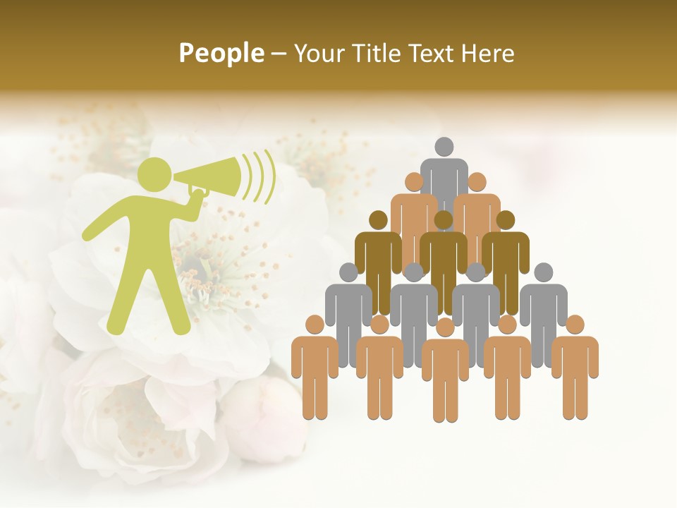 Beautiful White Background Summer PowerPoint Template