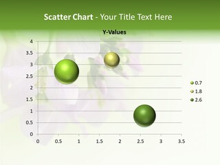 Flowers Colorful Botany PowerPoint Template