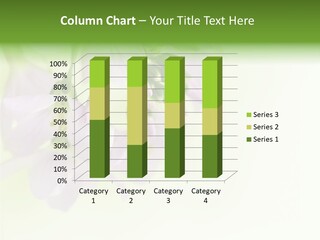 Flowers Colorful Botany PowerPoint Template