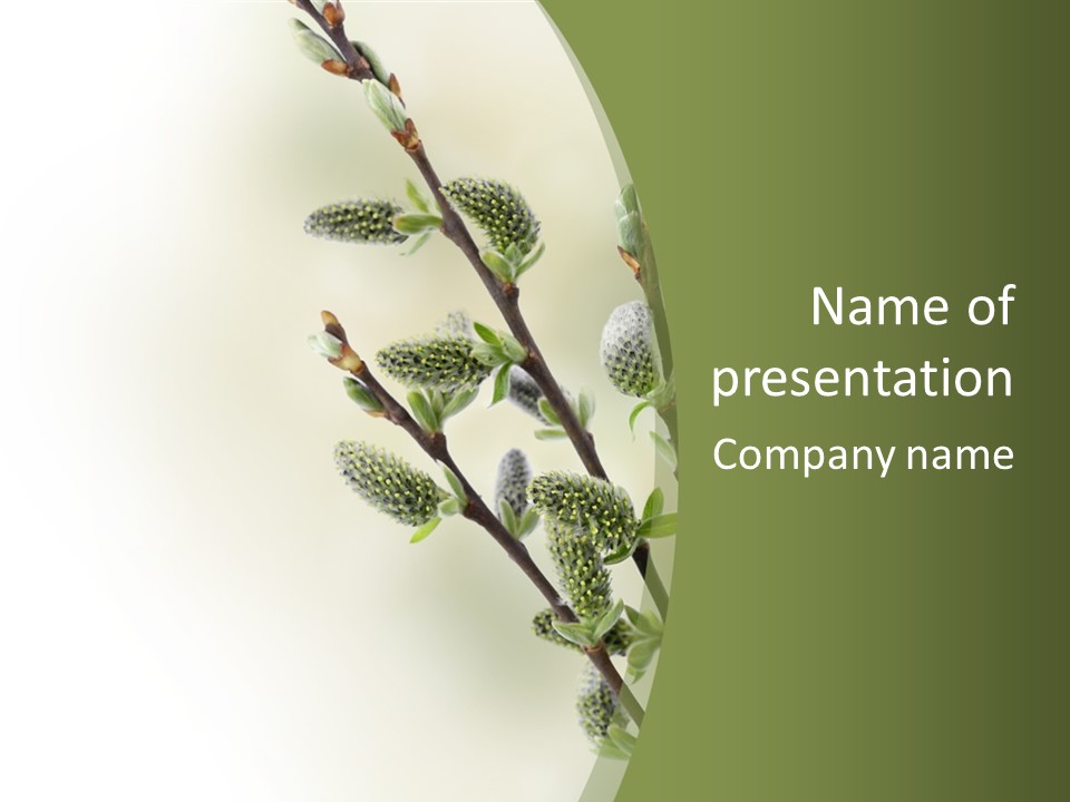 Young Border Blossom PowerPoint Template