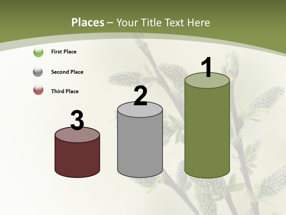 Young Border Blossom PowerPoint Template