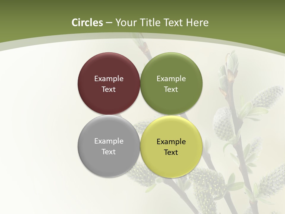 Young Border Blossom PowerPoint Template