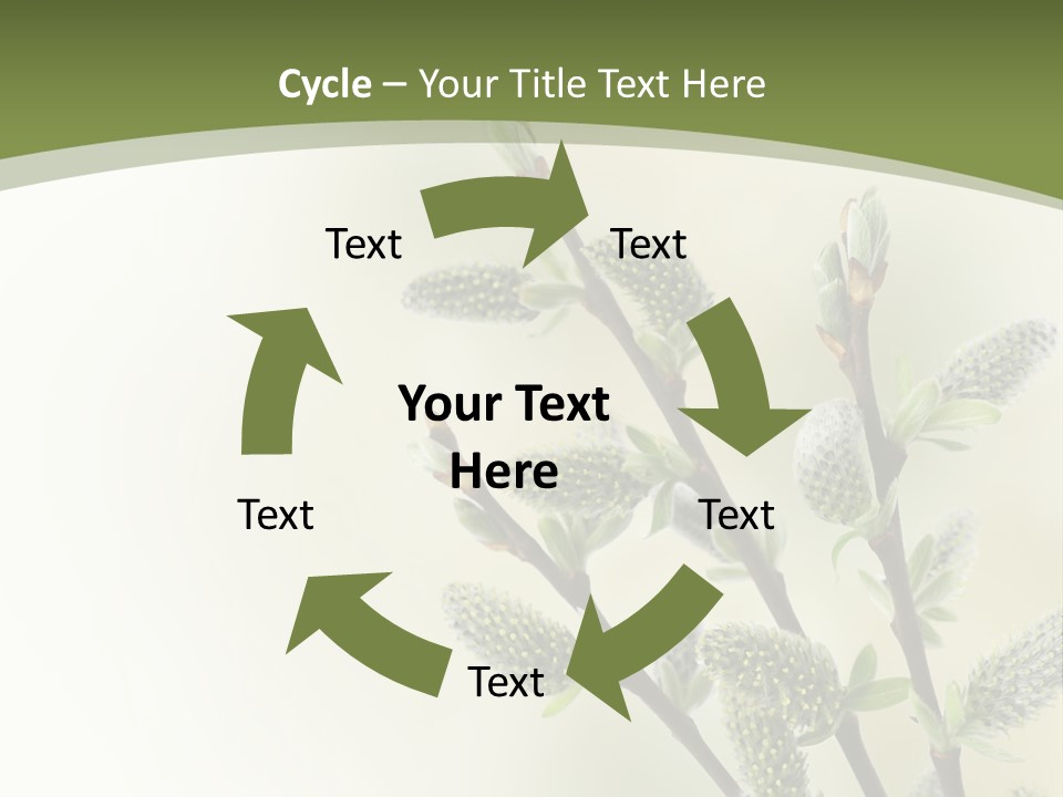 Young Border Blossom PowerPoint Template