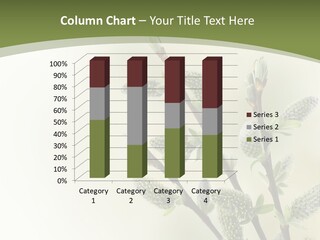 Young Border Blossom PowerPoint Template