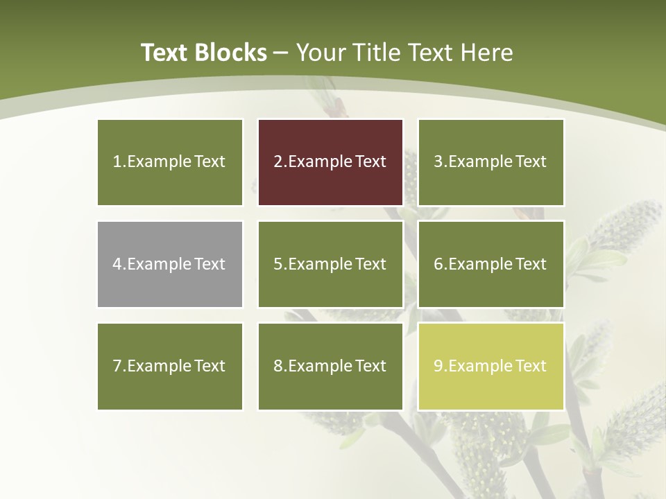 Young Border Blossom PowerPoint Template