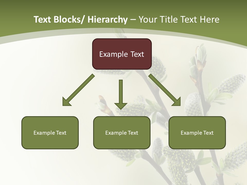 Young Border Blossom PowerPoint Template