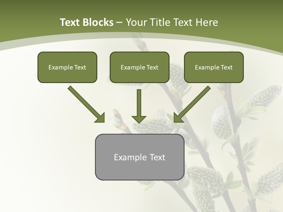 Young Border Blossom PowerPoint Template