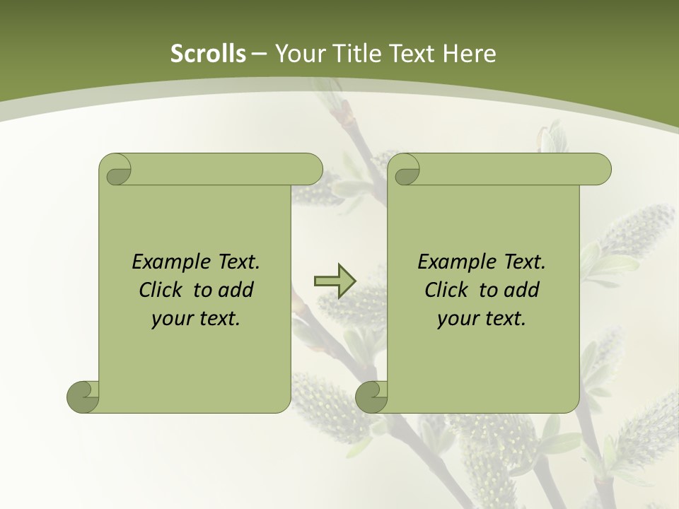 Young Border Blossom PowerPoint Template