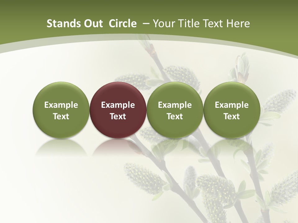 Young Border Blossom PowerPoint Template