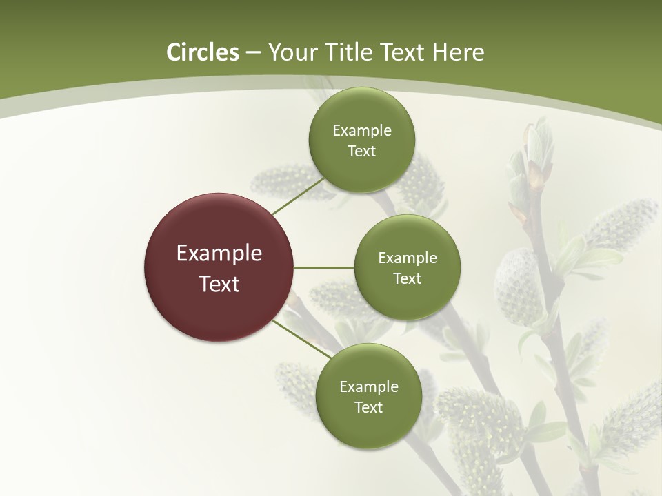 Young Border Blossom PowerPoint Template