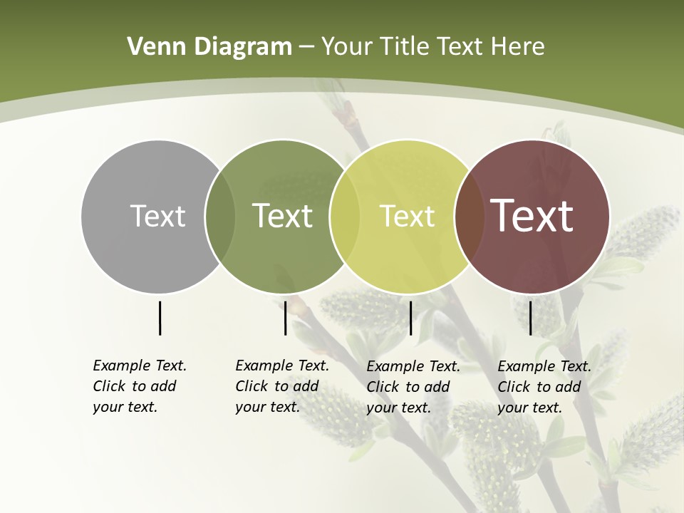Young Border Blossom PowerPoint Template