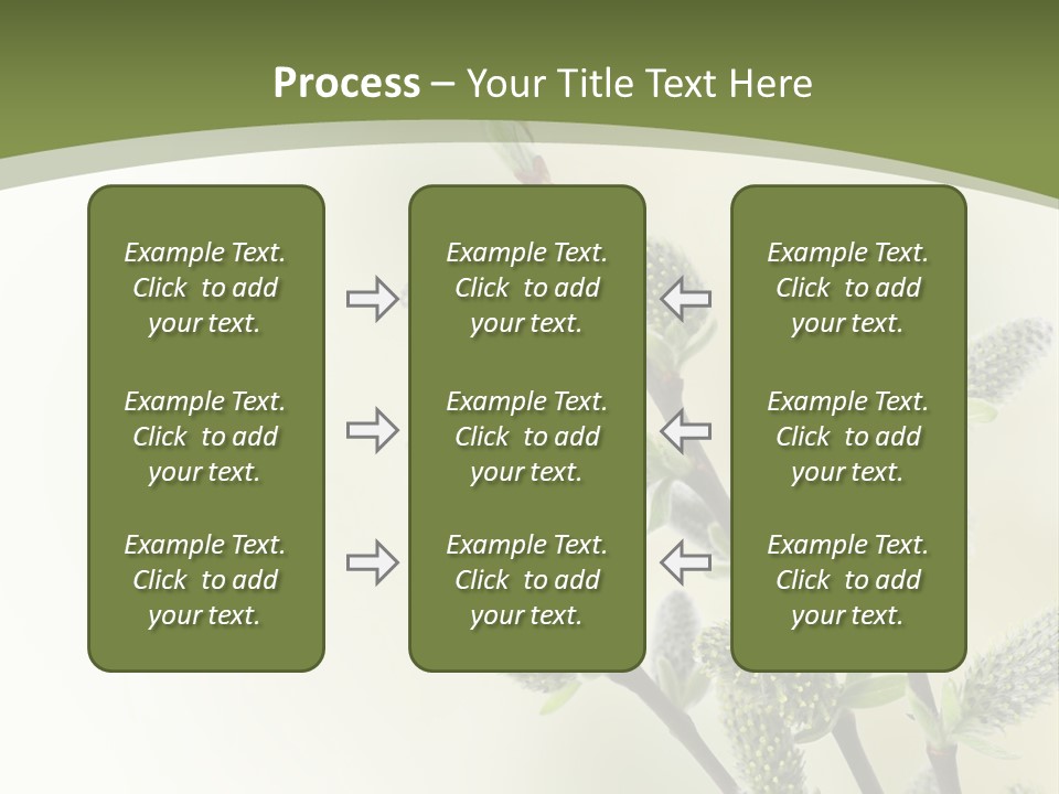 Young Border Blossom PowerPoint Template