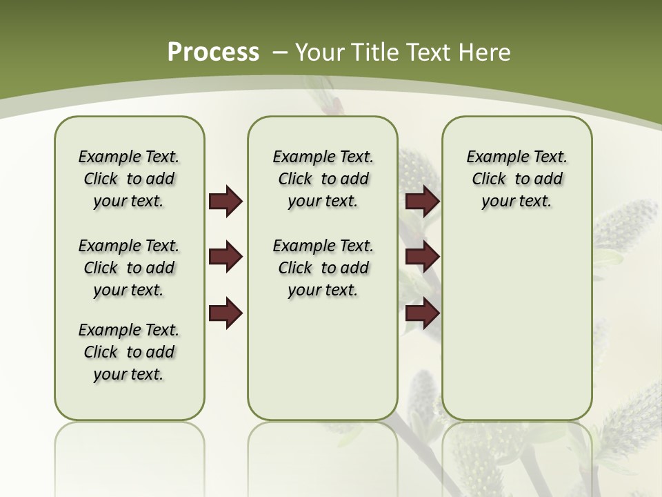 Young Border Blossom PowerPoint Template