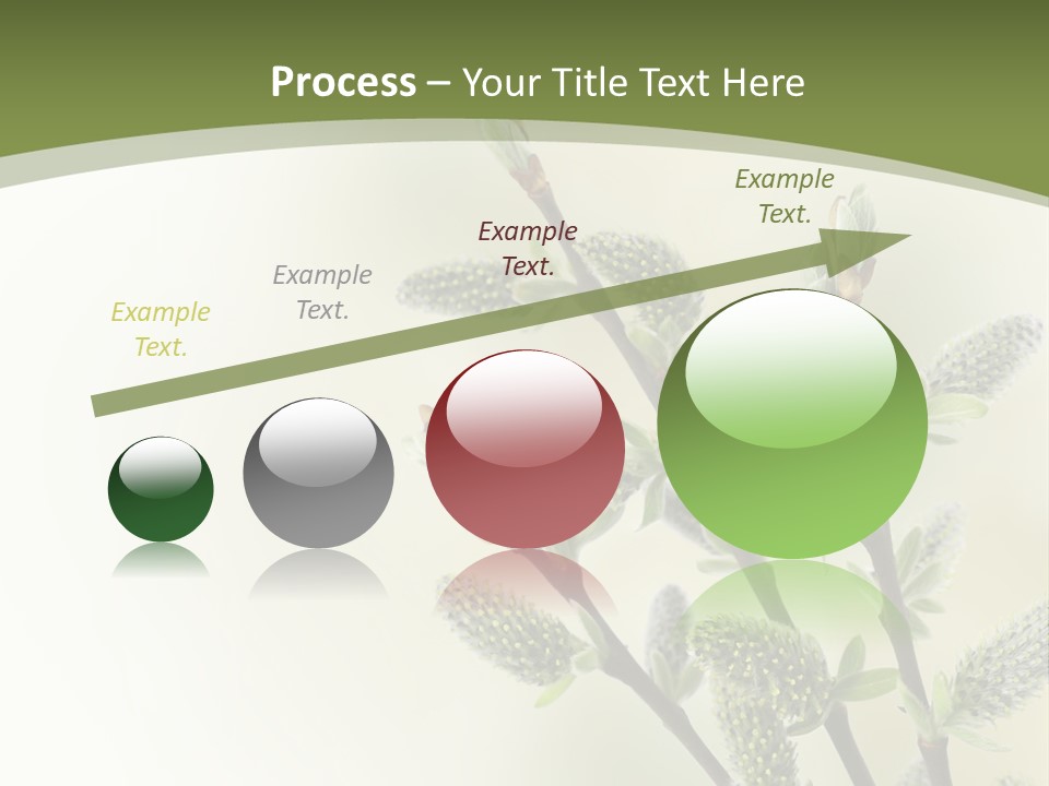 Young Border Blossom PowerPoint Template