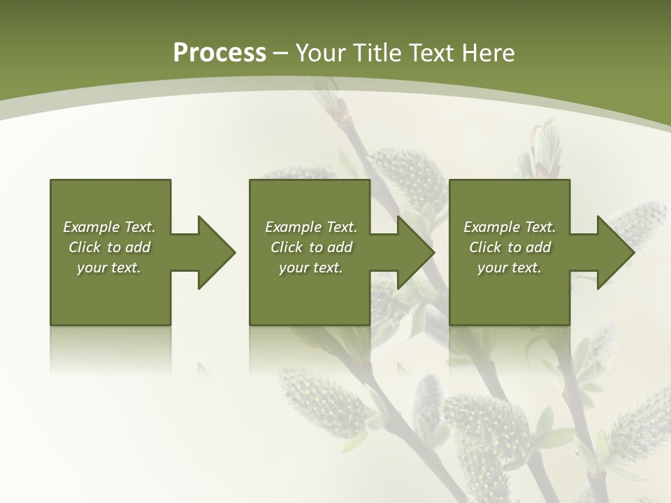 Young Border Blossom PowerPoint Template
