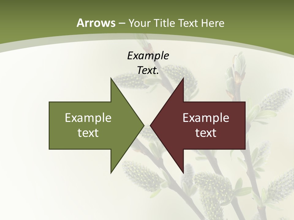 Young Border Blossom PowerPoint Template