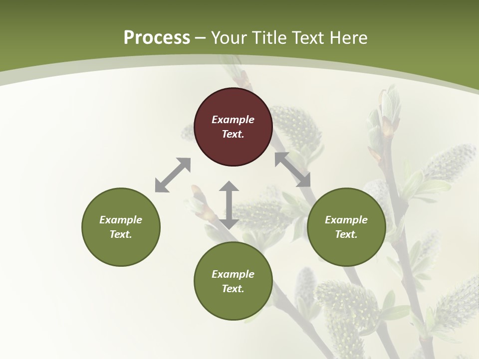 Young Border Blossom PowerPoint Template