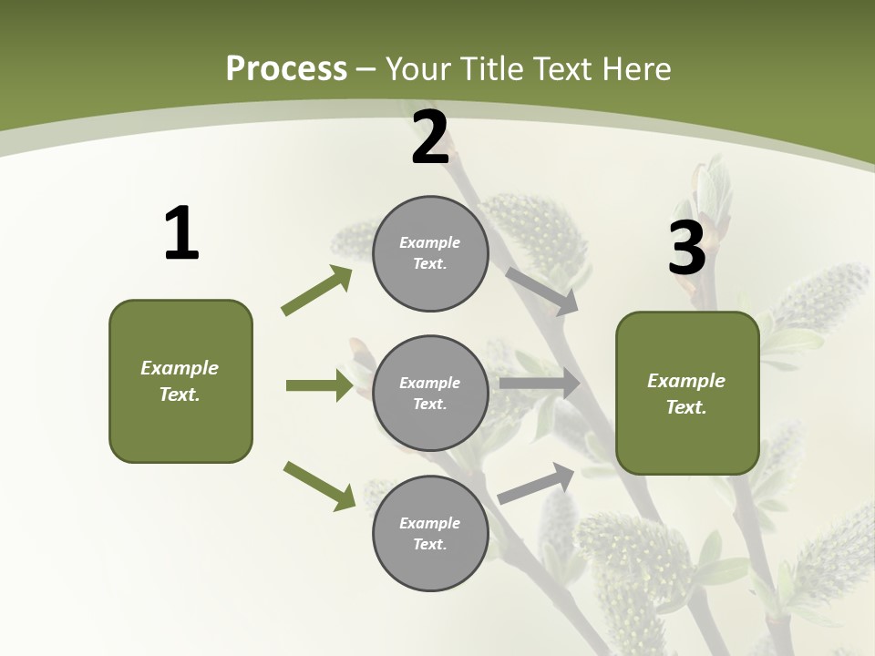 Young Border Blossom PowerPoint Template