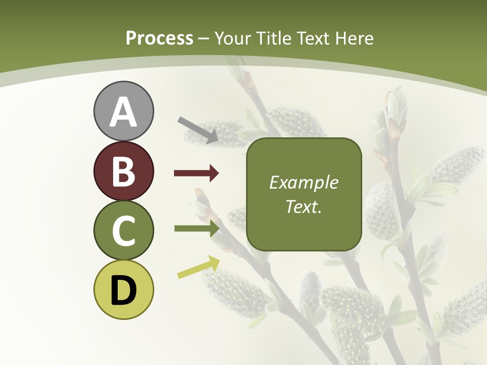 Young Border Blossom PowerPoint Template