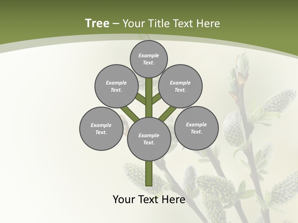 Young Border Blossom PowerPoint Template