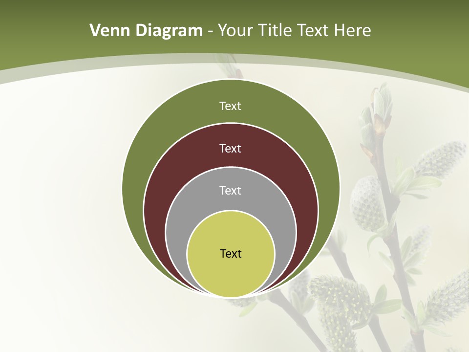 Young Border Blossom PowerPoint Template