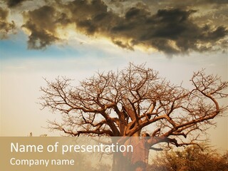 Travel Africa Sunset PowerPoint Template