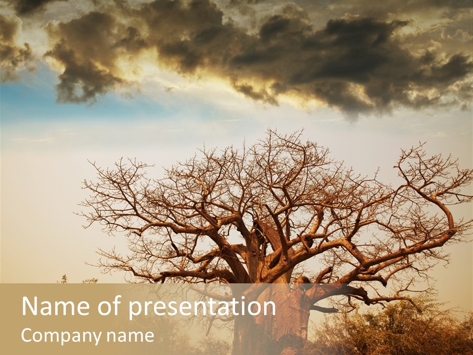 Travel Africa Sunset PowerPoint Template