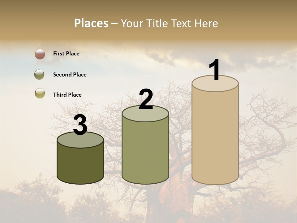 Travel Africa Sunset PowerPoint Template