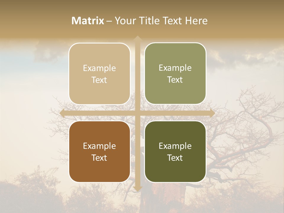 Travel Africa Sunset PowerPoint Template