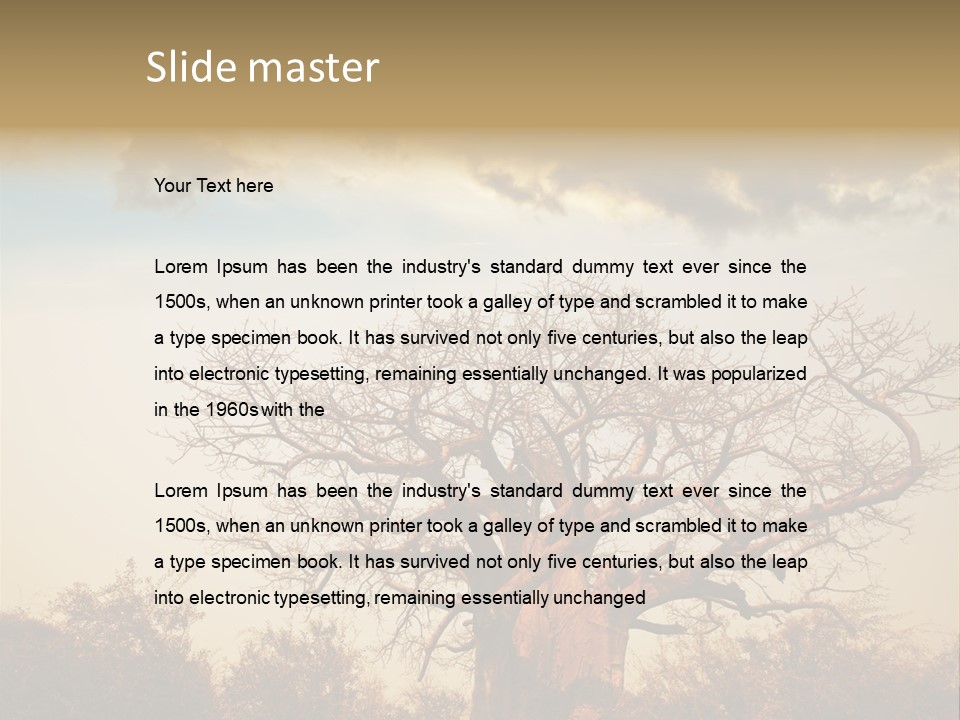 Travel Africa Sunset PowerPoint Template