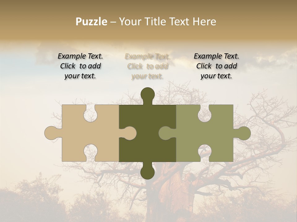 Travel Africa Sunset PowerPoint Template