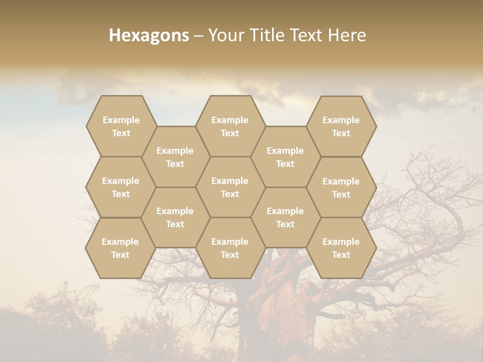 Travel Africa Sunset PowerPoint Template