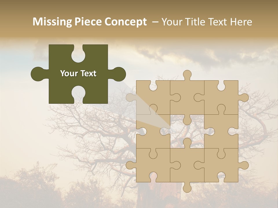 Travel Africa Sunset PowerPoint Template