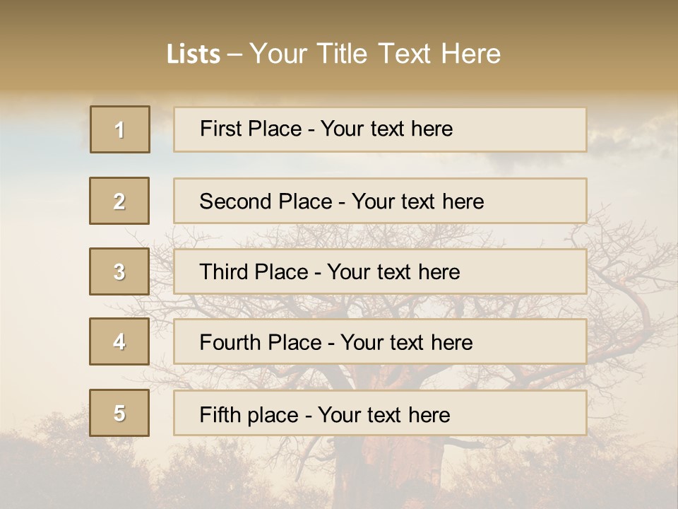 Travel Africa Sunset PowerPoint Template