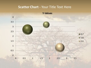 Travel Africa Sunset PowerPoint Template