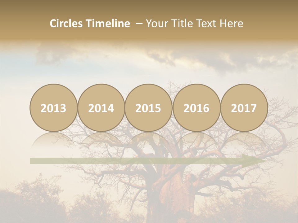 Travel Africa Sunset PowerPoint Template