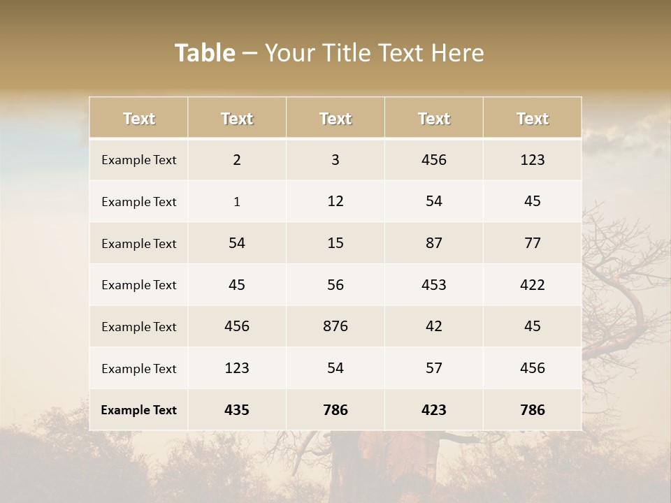 Travel Africa Sunset PowerPoint Template