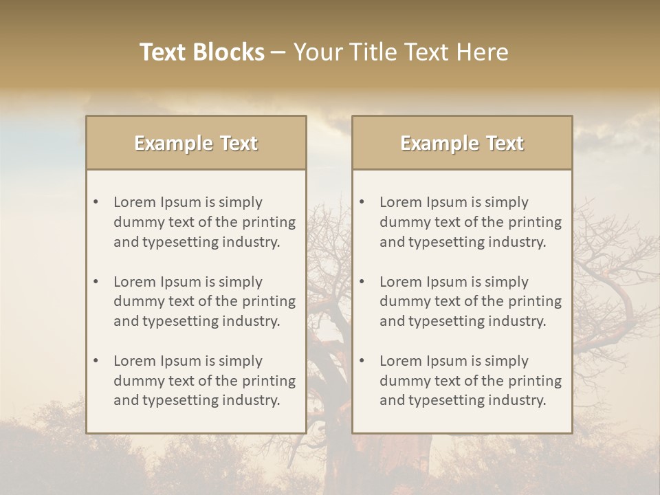 Travel Africa Sunset PowerPoint Template