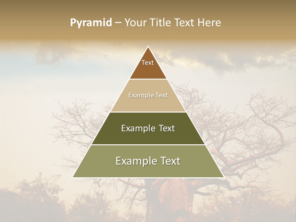 Travel Africa Sunset PowerPoint Template