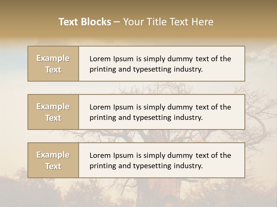 Travel Africa Sunset PowerPoint Template