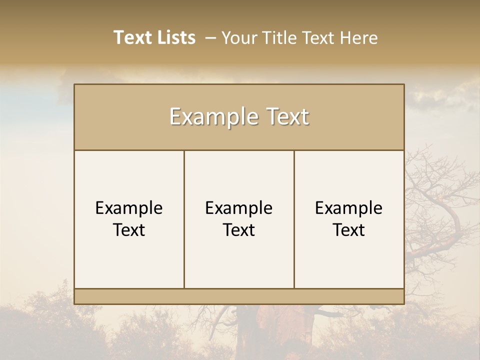 Travel Africa Sunset PowerPoint Template