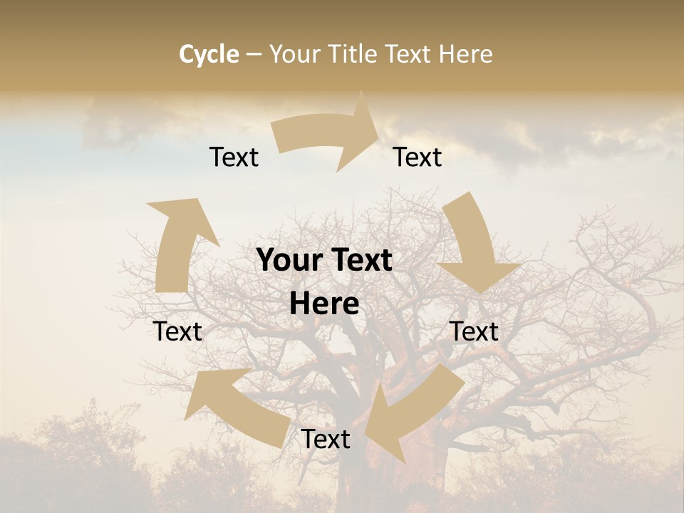 Travel Africa Sunset PowerPoint Template