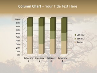 Travel Africa Sunset PowerPoint Template