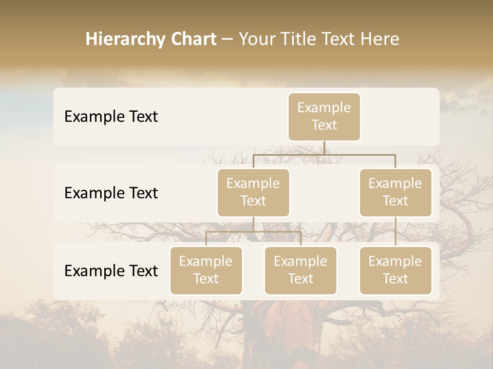Travel Africa Sunset PowerPoint Template