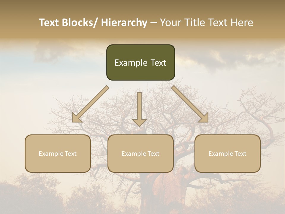 Travel Africa Sunset PowerPoint Template