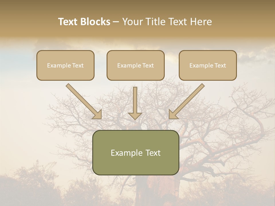Travel Africa Sunset PowerPoint Template
