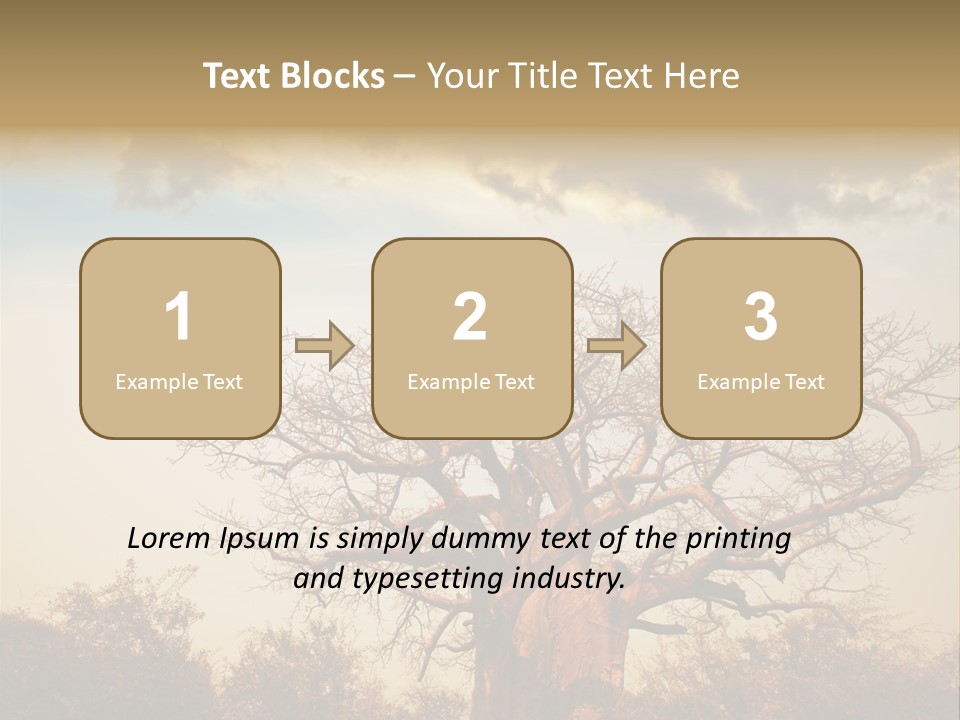 Travel Africa Sunset PowerPoint Template