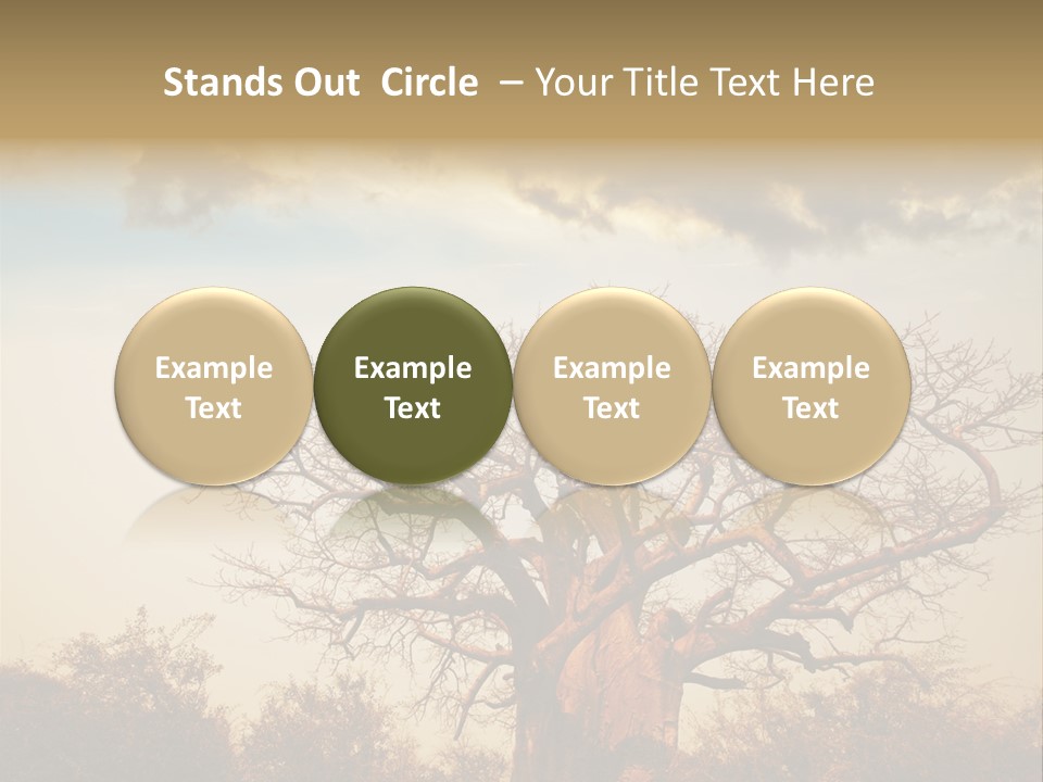 Travel Africa Sunset PowerPoint Template