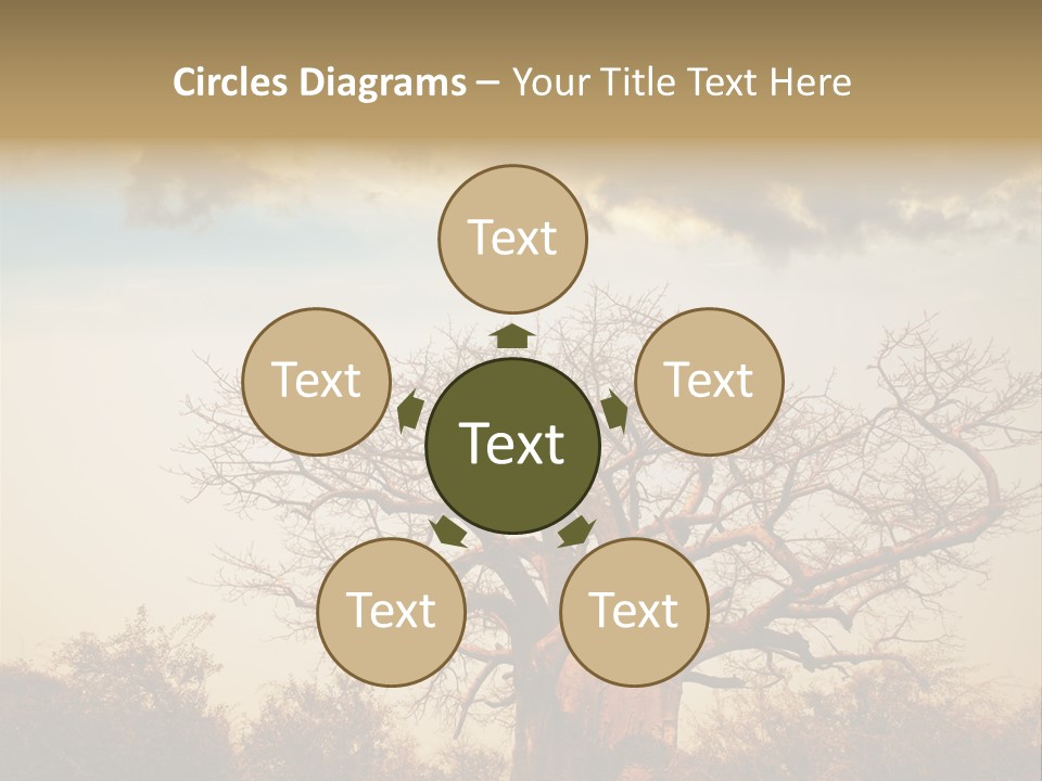 Travel Africa Sunset PowerPoint Template